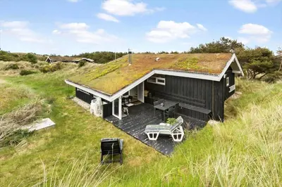 an overhead view of a black house with a grass roof at BL343-Saltum-Raabukvej-24 in Saltum