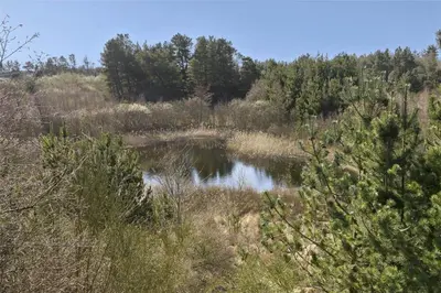 a small pond in the middle of a field at BL464-Blokhus-Blaabaerskraenten-8 in Blokhus