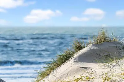 a sand dune with grass and the ocean in the background at 332-Harboore-Hvilehjemsvej-20 in Harboør