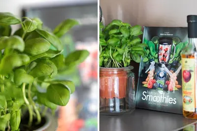 a plant in a jar next to a book and a plant at G139-Lemvig-Porsevej-39 in Lemvig