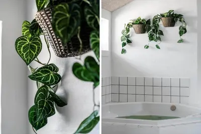 a bathroom with plants on the wall and a bath tub at 305-Harboore-Arcticvej-6 in Harboør