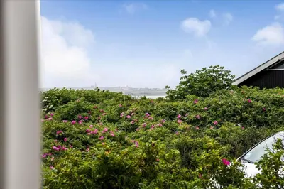a bush with pink flowers in front of a house at 209-Harboore-Vejlby-Klit-291-A in Harboør