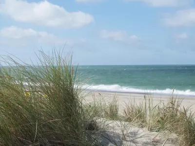 a beach with some tall grass and the ocean at 10 person holiday home in Harboøre-By Traum in Harboør