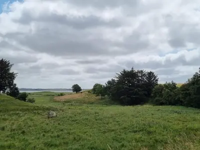 a grassy field with trees on the horizon at 6 person holiday home in Hurup Thy-By Traum in Sindrup