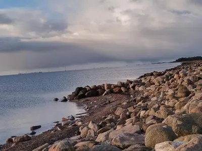 a group of rocks on the shore of a body of water at 6 person holiday home in Hurup Thy-By Traum in Sindrup