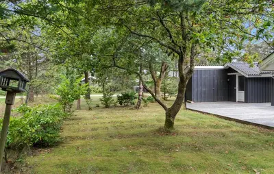 a yard with a tree and a house at Cozy Home In Vestervig With Sauna in Vestervig