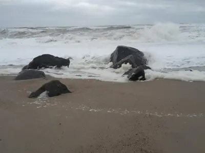 a group of rocks on the beach with the waves at 8 person holiday home in Ulfborg-By Traum in Ulfborg