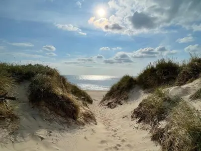 a path through the sand on a beach at 8 person holiday home in Ulfborg-By Traum in Ulfborg