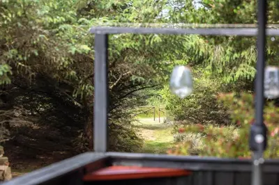 a view of a forest from a bus window at BL1112-Saltum-Graabakken-26 in Saltum