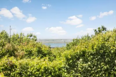 a view of a body of water through some bushes at LF101-Vestervig-Hellesvej-1 in Vestervig
