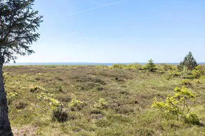 a field of grass with a tree in the foreground at LF10314-Hurup-Thy-Edderfuglevej-15 in Sindrup