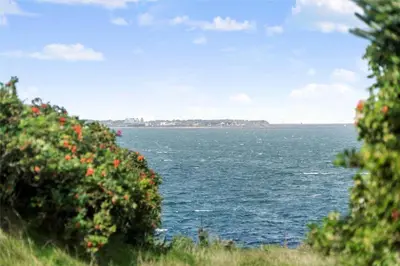 a view of a large body of water with flowers at LF11974-Struer-Havstokken-15A in Struer