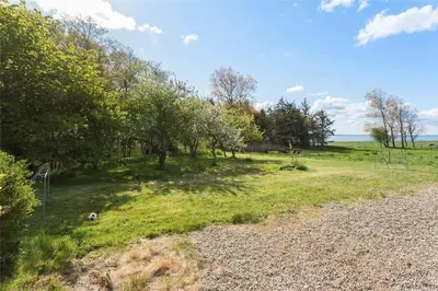 a field with trees on the side of a road at LF13172-Nykobing-M-Strandvaenget-76 in Ejerslev