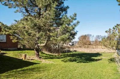 a pine tree in a yard next to a house at LF10229-Thyholm-Skovstjernevej-9 in Thyholm