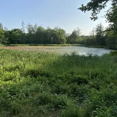 Købmandsgården i Blære