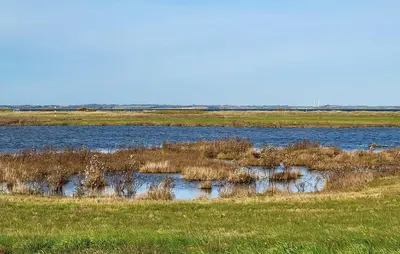 a marshy field with water and plants in it at Lovely Home In Karby With Wifi in Karby