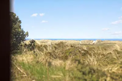 a field of grass with the ocean in the background at JB290-Fjerritslev-Mollebosletten-41 in Fjerritslev