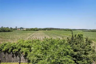 a field of crops with a fence in front of it at JB151-Brovst-Tranum-Engevej-137 in Brovst