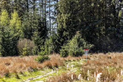 a red frisbee in the middle of a field at JB328-Brovst-Kronvildtvej-184 in Brovst