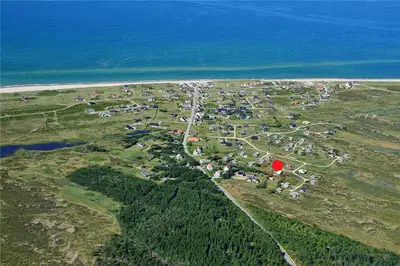 an aerial view of a field with a group of animals at JB116-Frostrup-Svenstibakkevej-30 in Frøstrup
