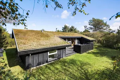 an image of a house with a grass roof at JB987-Fjerritslev-N-C-Alstedsvej-12 in Fjerritslev