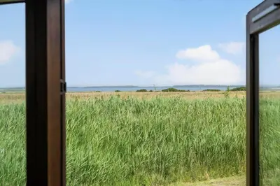a window view of a field of tall grass at 70721-Ulfborg-Klitengene-11 in Ulfborg