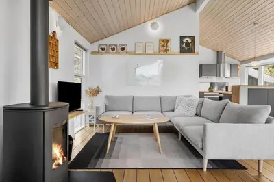 a living room with a couch and a fireplace at JB403-Fjerritslev-Poppelvej-20 in Fjerritslev