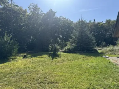 a grassy yard with trees in the background at Holiday Home Karmen - 1km from the sea by Interhome in Pandrup