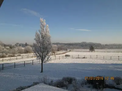 a tree in a field covered in snow at Bakkegården Homestay in Spottrup