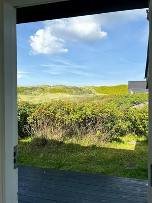 a view of a field of flowers from a door at Family House Close To The Sea At Tranum Strand in Brovst