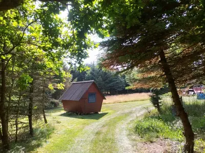a small cabin in the middle of a field with trees at Kathøje in Lemvig