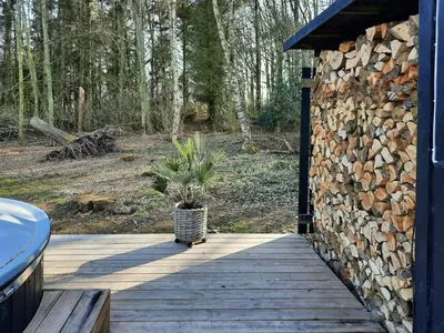 a plant in a pot on a wooden walkway at Fjord Views And Spa By Limfjorden in Roslev