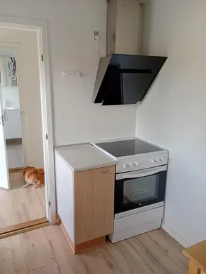 a kitchen with a stove and a cat walking into a room at Apartment with water views in Fjerritslev
