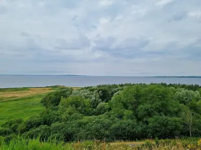 a group of trees in front of the water at 4 star holiday home in Ranum in Ranum