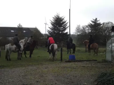 a group of people riding horses in a field at Idyllic Countryside Farm with Horseback Riding in Nibe