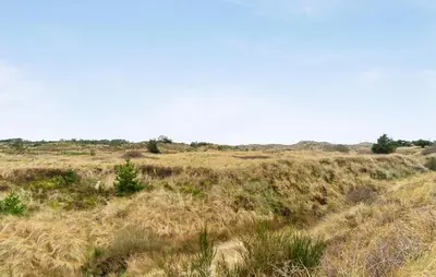 a field of grass with trees in the distance at 2 Bedroom Pet Friendly Home In Thisted in Thisted