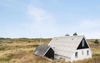 a black and white barn in a field at 2 Bedroom Pet Friendly Home In Thisted in Thisted