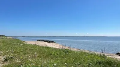 a body of water with a grassy hill next to a beach at Villavilla 431 - Hostrup Strand, Limfjorden in Spottrup
