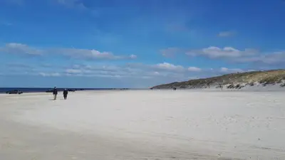 a couple of people walking on a beach at Villavilla 411 - Blokhus, Nordjylland in Blokhus