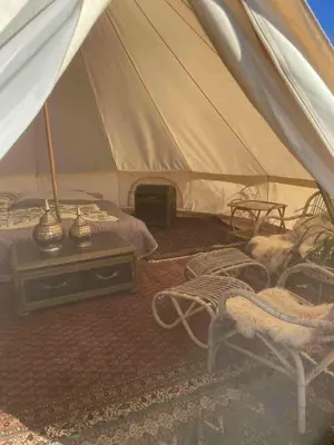 a tent with two cats sitting in chairs in a room at Stenbækgård - Farm Glamping in Højslev