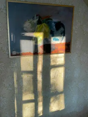 a shadow of a painting on a wall with a picture at Historic House From 1887 Near Nationalpark Thy
