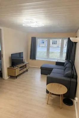 a living room with a couch and a tv at Hel hus i rolig by in Birkelse