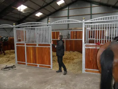 a man standing in a barn with a horse at Tvillinggaard Thy in Vang