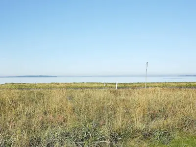 a field of tall grass with the ocean in the background at 8 person holiday home in Løgstør-By Traum in Trend