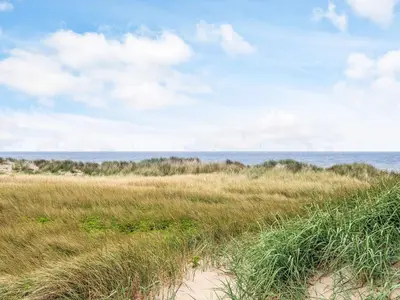 a field of grass with the ocean in the background at 12 person holiday home in Harboøre-By Traum in Vrist