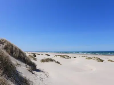 a beach with sand dunes and the ocean at Bright Beach House Retreat - By Traum Ferienwohnungen in Trudslev