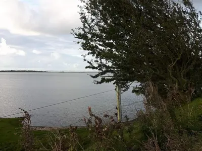 a tree next to a body of water at 9 person holiday home in Hurup Thy-By Traum in Sindrup