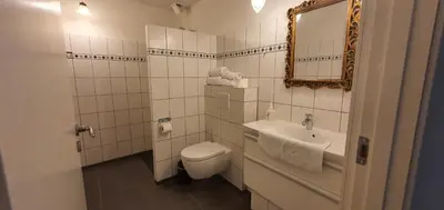 a bathroom with a toilet and a sink and a mirror at Næsbydale Badehotel in Ranum