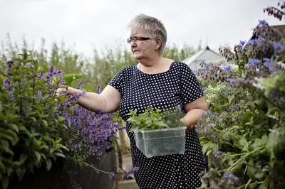 a woman standing in a garden with purple flowers at Stenbjerg Kro & Badehotel in Snedsted