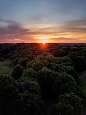 an aerial view of a sunset over a forest at Comwell Rebild Bakker in Skorping